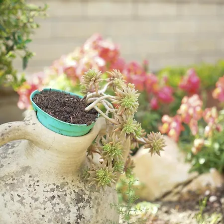 アパート Panorama ヴァスト