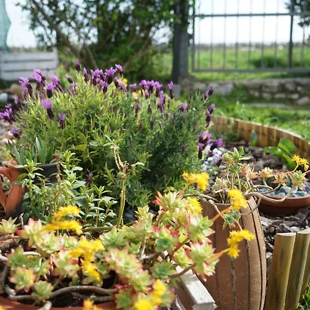 Panorama * ヴァスト