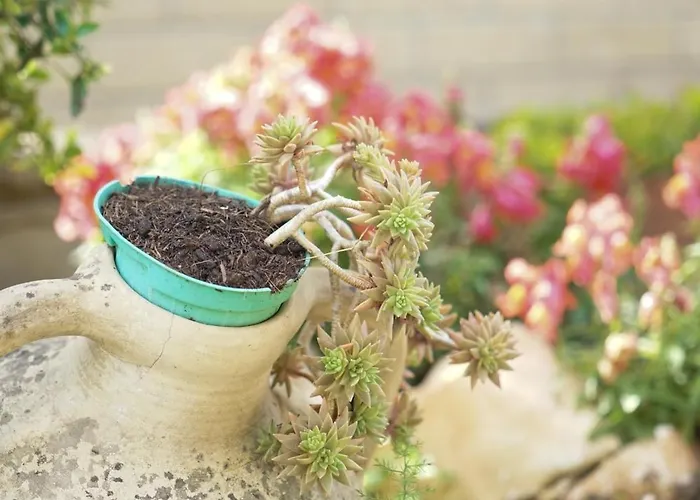 Appartement Panorama Vasto
